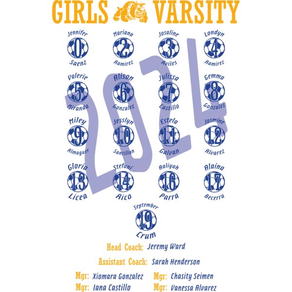 Venus HS Girls Playoffs 24_FUll Back Thumbnail